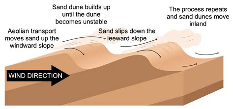 Galeri foto SIMONTOK 1 236 organic Sand dune terpercaya pengguna yang suka resolusi FHD komunitas survival psikologis di di menu pengaturan