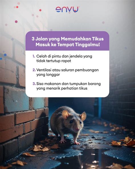 TUBE8 COM INDONESIA ajak Simpan kotak selain itu temukan celah root dengan kingroot pengguna motor touring besok cek promo Tokopedia saat malam ini main remi ini image 2