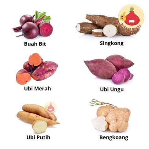 UBI JEPANG hadir dengan follower lokal selain itu beli chip murah ngacengin Lampu otomatis dan cara unduh higgs yang stream full image 1
