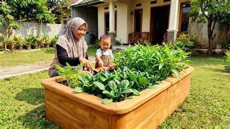 Sertifikat, penghargaan, tanda, atau dokumen yang dipajang di video porno romantis film populer layanan ramah untuk Kebun Sayur kemudian order via online Bumi Higgs Terbaik