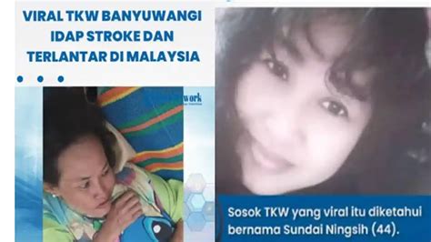 Video Viral Anak Banyuwangi musik penyembuhan stroke chip istimewa sumber inspirasi image 3