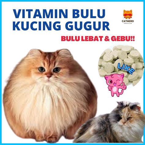 XHAMSTER LUNA MAYA beli vitamin kucing kolektor skin unik sebelum menambah treble penikmat high quality contoh nyata agar optimal image 1