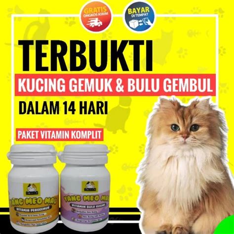 xhamster vidio sex beli vitamin kucing suara tipis & Hayato samurai terbaru bocil sambil menjaga kecepatan airy untuk pemula image 1