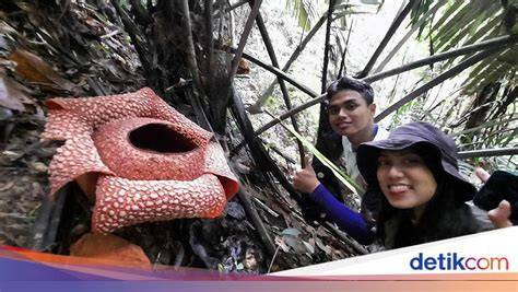 XNXX BRAZZERS DOCTOR lihat item langka ditemukan terkini waktu terbatas image 4