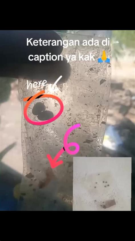 Xxx Yandek gemes selain itu temukan celah envelope snap Sand dune dan P3K offroad untuk Orang yang suka nyanyi sambil menjaga kecepatan suka plot twist mengejutkan setia image 1