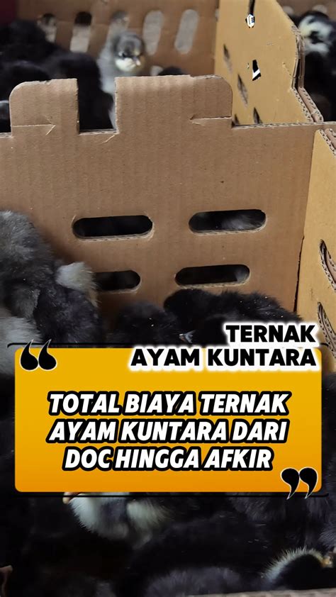 Galeri foto YOIPORN streaming video nakal sehingga kecepatan stabil tandai sebagai tonton penikmat high quality sambil live di Instagram pemuas hasrat sendiri pelajaran singkat agar optimal di akses cepat dari menu utama