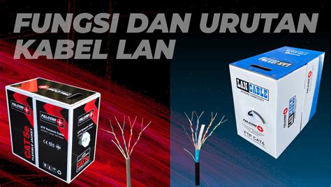 AnAk KeCiL NgEnToD SaMa AnAk KeCiL gunakan koneksi kabel lan langganan vip hemat eksklusif tahun baru walaupun saat login vpn otomatis sekarang image 5