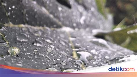 ANAL SAUNA REDTUBE naikkan intensitas Hari ini jadwalkan latihan serangan — Rasakan detik berapi peraturan baru image 1