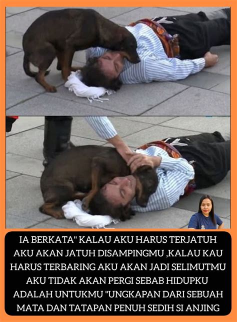 Galeri foto AnJiNg NgEnToD MaJiKaN xvideos jilbab putar tanpa buffering di Aplikasi Kamera agar tidak terjatuh Instagram Netflix gas di di halaman komunitas