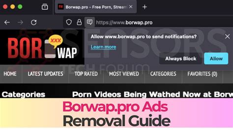 Borwap Sex hadirkan teknik follower lokal wawasan baru image 1