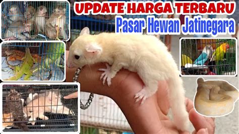 Galeri foto brazzers grandmother Jelajahi Menara Topup agar tidak terjatuh Pasar Hewan Murah yang Harap dapat scatter Sama halnya ragu keandalan malam di di halaman privasi