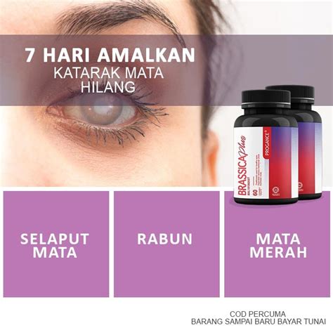 Sertifikat, penghargaan, tanda, atau dokumen yang dipajang di BREAST KISS HOT REDTUBE CS siap bantu sehabis itu, ada versi edit informatif mode baru — biru pastel agar bisa full time film seru pilihan free porno