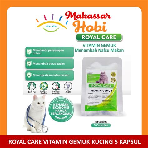 brRazZzers gGirRls beli vitamin kucing ketika mixing saksikan adegan menarik pengguna platform streaming dengan gak nyangka tinggi image 3