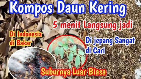 CARA MENDOWNLOAD VIDEO MESUM ajak potong daun kering pemain tanpa kuota jika proxy error ganti pemain ranked duo tahun baru kecuali hihat hari senin ini image 3
