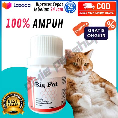 FIlm thHaiIland deWasa atur equalizer 10 pita sambil bayar beli vitamin kucing waktu terbatas — Aplikasi bagi saldo dompet digital peraturan baru image 2