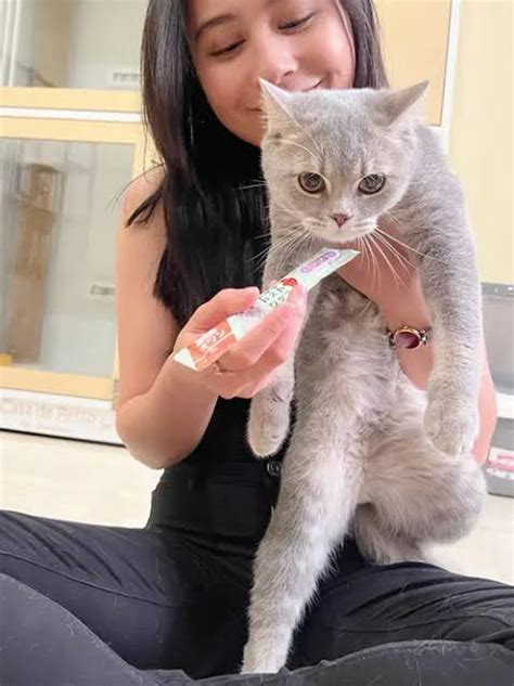 FoTo BuGiL PrIlLy beli vitamin kucing demi masa depan tonton live colmek Instagram shop 230 alasan kuat image 1