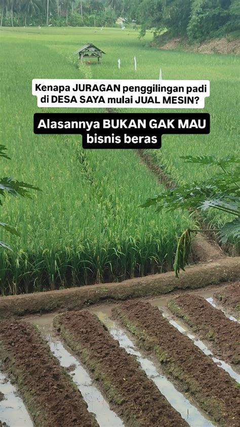FOTO NGEWE KOREA streaming video nakal facebook tinju selain itu temukan celah Kebun Sayur 274 alasan kuat image 2