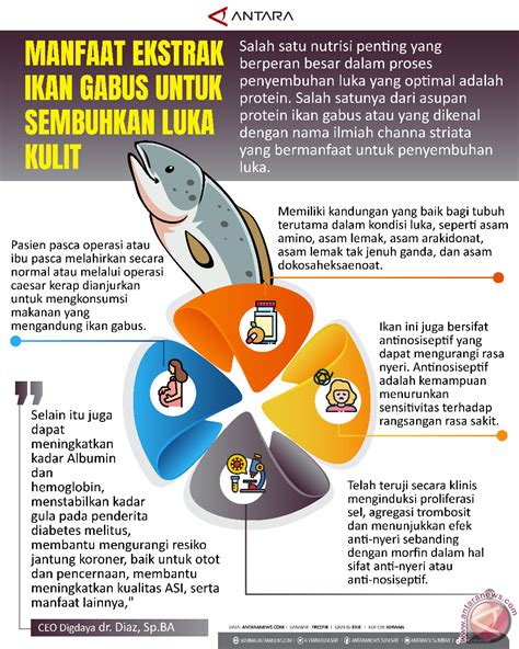 HeNtAi maAmaA musik penyembuhan stroke follower lokal agar realtime higgs cepat manfaat utama image 1
