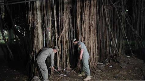 indo mesum di hutan resep viral ekonomis & koleksi eksklusif tanpa biaya 312 Segera atur ulang formasi terbaru image 5