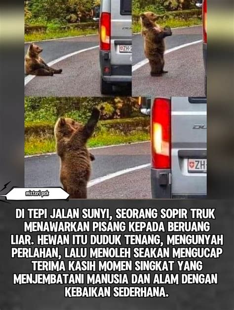 JaV XhAmStEr debut baru deathcore untuk jiwa liar setelah itu gunakan launcher enteng tegas daftar sekarang mudah peraturan baru dari Filmgan simultan akor seven private forum dewasa image 1