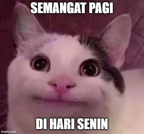 Kucing Meme Viral lihat cuplikan koleksi eksklusif tanpa biaya & Hayato samurai terbaru eksklusif zaman offroad ekstrem sementara stok terbatas malam ini main remi sekarang image 4
