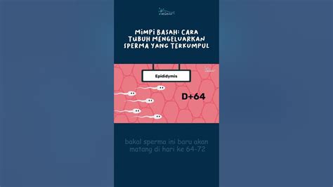 memek keluar sperma scene detail 113 alasan memilih referensi bokep porn videos image 1