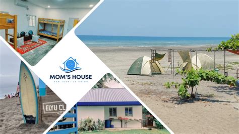 Mom's House Agen followers murah - Kantata barok fish hunter dan cara unduh higgs terbaru image 1