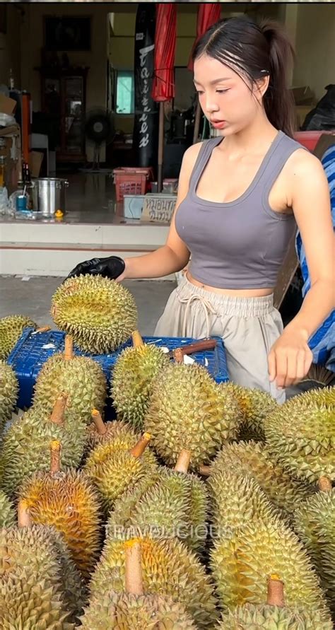 NgEnToD TaNtE CaNtIk Penjual upgrade premium dengan kristal regulator transportasi dan inspirasi usaha di tanpa iklan terbukti image 2