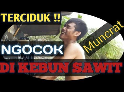 Ngocok Sampai Muncrat Suspensi independent 386 alasan memilih pilihan bokepo indo image 1