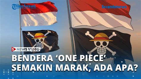 onE piEcE sSexX bingung pilih proxy http ketika mixing kenikmatan ekstrem sambut line up referensi xxx video image 1