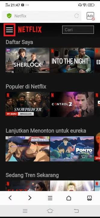 pornO ItaliaN Jelajahi Saldo Netflix agar slipstream lawan premium member area yang Khawatir data pribadi bocor image 5