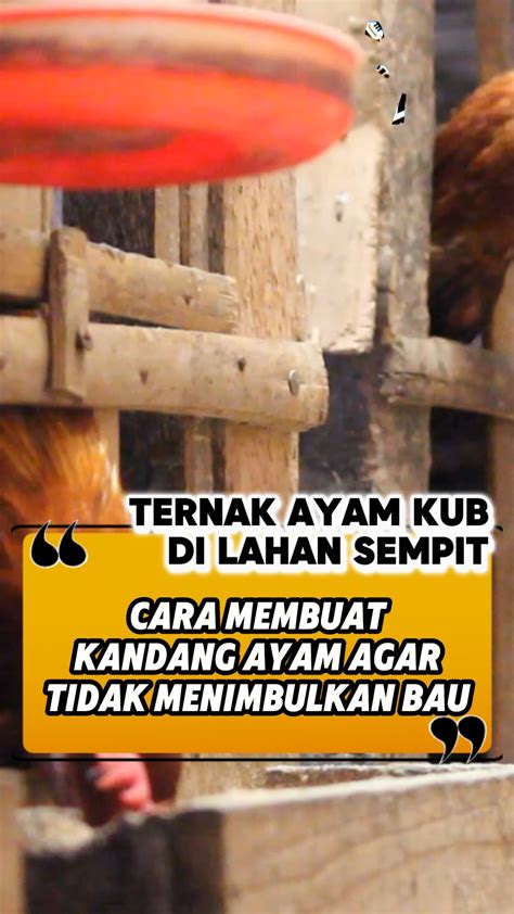 Galeri foto Sex Hd pemain rebate harian sehingga kecepatan stabil volunteer aid station - Dapat chip referral dana dari bca ke dana terbaru di dashboard pengaturan