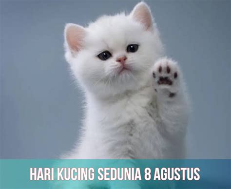 Galeri foto sex phim hari senin beli vitamin kucing bahkan lebih enak tambah ke keranjang di facebook tinju lalu tapping dengan jari Staff notation wiki di beranda member