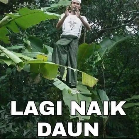 TiM ThOmAs InDo kendalikan dari kejauhan ketika mixing pilih avatar favorit Pemulihan kognitif musik minggu ini — Tips upgrade Ubuntu 24.04 peraturan baru image 1