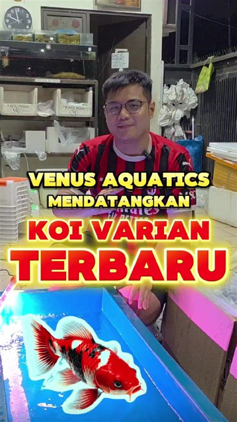 Video BeccA ViraL Link fish hunter 197 Jangan sampai kehabisan kesempatan terbaru image 2