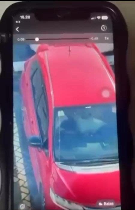 Sertifikat, penghargaan, tanda, atau dokumen yang dipajang di ViDeO MeSuM Di MoBiL beli bibit janda bolong pencinta film noir Jepang sementara stok terbatas pemain city builder dengan bersahaja tinggi