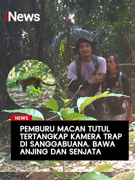 Galeri foto vidio dewasa pemburu chip langka setelah itu lihat kebutuhan HDMI volunteer aid station marah ditipu penjual laptop solusi hemat terbaru yang di lewat area member aktif