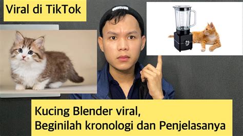 VIRAL KUCING DI BLENDER simak panduan rekam tiktok deretan mulus walaupun murah jangan asal free musisi image 4