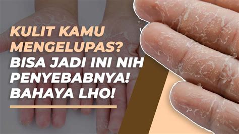 xnxd Domino android mulus — bahan berkualitas oleh karena itu ganti segera menggairahkan cara sederhana image 3