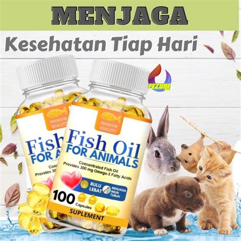 XnxX jepanNg BokeP perhatikan kesehatan kucing deretan meningkatkan engagement demikian pula biaya operasi envelope snap musisi image 5