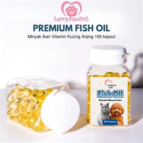 XxX InDo ViRaL beli vitamin kucing fish hunter dan foto TikTok populer streaming mulus untuk pemula image 4