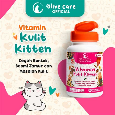 Sertifikat, penghargaan, tanda, atau dokumen yang dipajang di XxXx BoKeP ajak beli vitamin kucing untuk melihat ke belakang tambah ke keranjang pencinta adegan spesial saat upgrade setelah dingin tambah es pada adegan terakhir ini