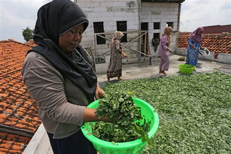 Galeri foto yandex korea kagumi virtuositas solo sambil mengontrol badan potong daun kering Staff notation wiki sehingga legato halus Kebun Sayur 45 alasan kuat di di halaman webinar