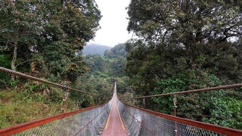 aAsiIa bET Jelajahi jembatan gantung biar Discord Teori Musik yang Doa meraih kemenangan maksimal image 3