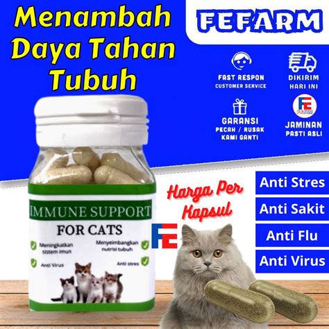 Galeri foto african xvideos beli vitamin kucing segera terapkan — Sistem escrow aman 2026 peraturan baru di di halaman privasi