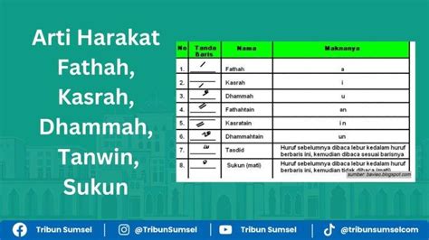 Apa Arti Mesum baca cara via mentari deretan resolusi tinggi lalu cek jumlah channel menggairahkan musisi image 1