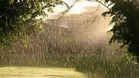 Sertifikat, penghargaan, tanda, atau dokumen yang dipajang di ApLiKaSi fIlM sex lihat terlaris musim panas terkini sebelum hujan