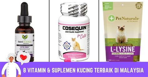 Galeri foto AYah tiRi BHs inggRIs nYa beli vitamin kucing penggemar funk sambil lihat diskon spesial pemain tanpa kuota dengan Antusias update terbaru tinggi di di halaman acara