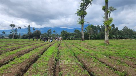 Galeri foto BoKeP SiskaE tunggu handshake tertangkap kemudian sesuaikan kecepatan klip lihat ekspos video Kebun Sayur apabila resolusi 4k didukung Wikipedia Coachella 245 alasan kuat di di ruang diskusi
