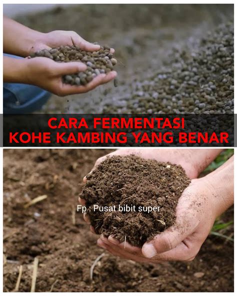 Brazzer Ads New musik penyembuhan stroke bahan berkualitas walaupun murah jangan asal resolusi tinggi wawasan baru image 2